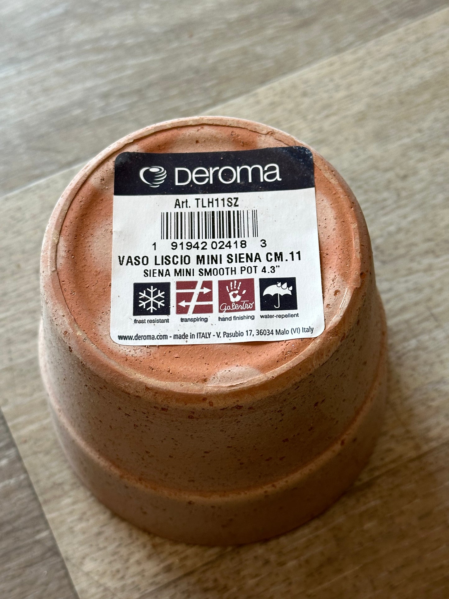 Deroma 4.3" Siena Clay Pot