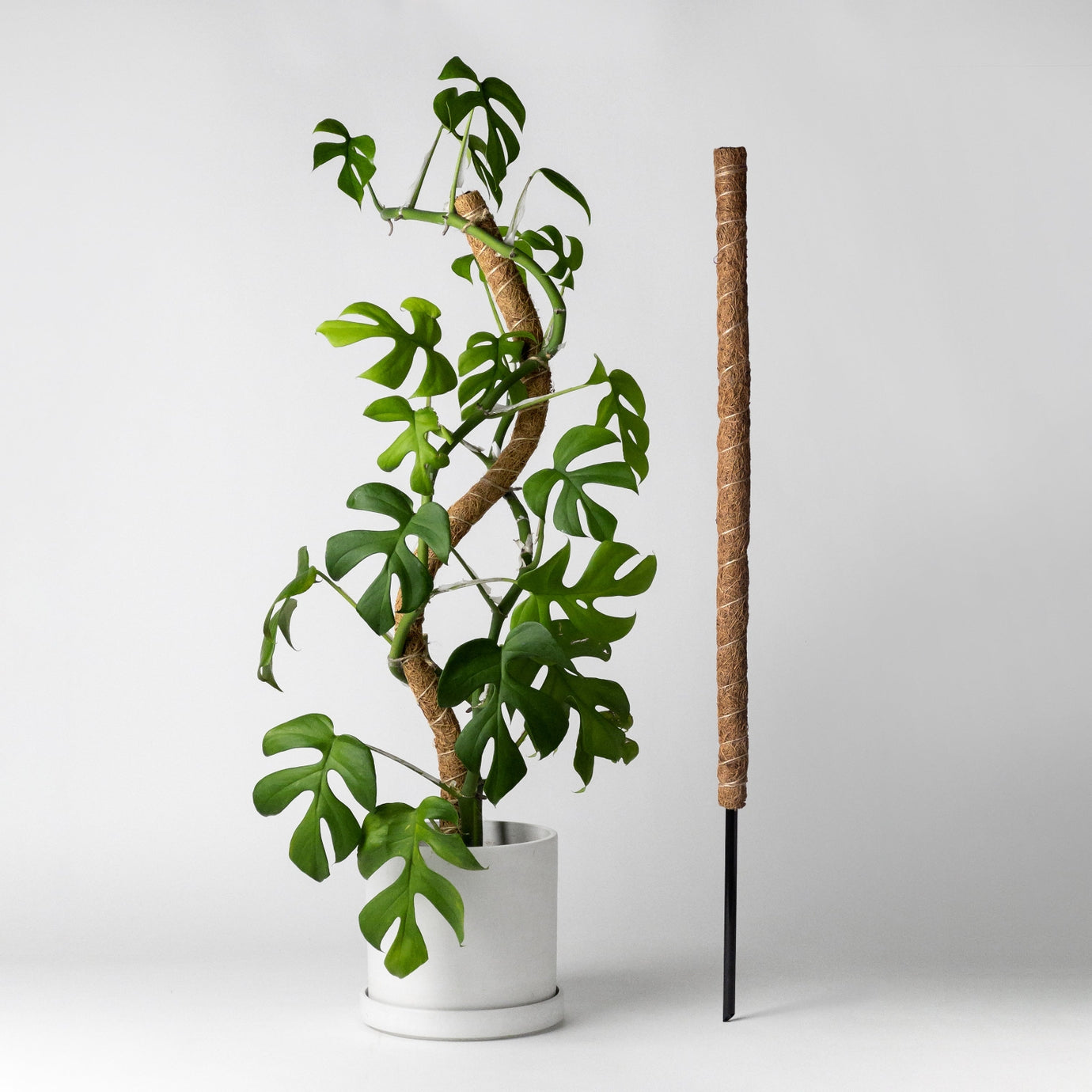 32" Bendable Coco Pole with Metal Stake