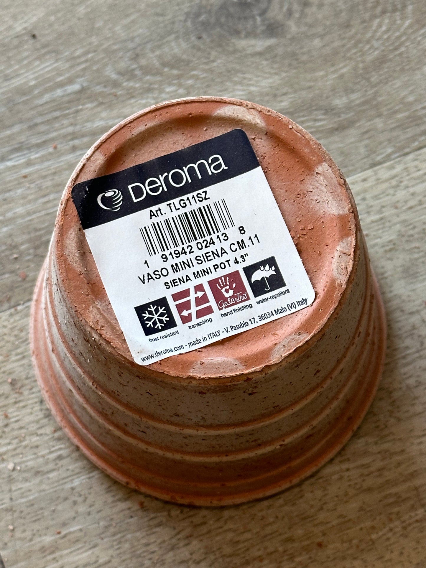 Deroma 4.3" Siena Mini Pot Galestro