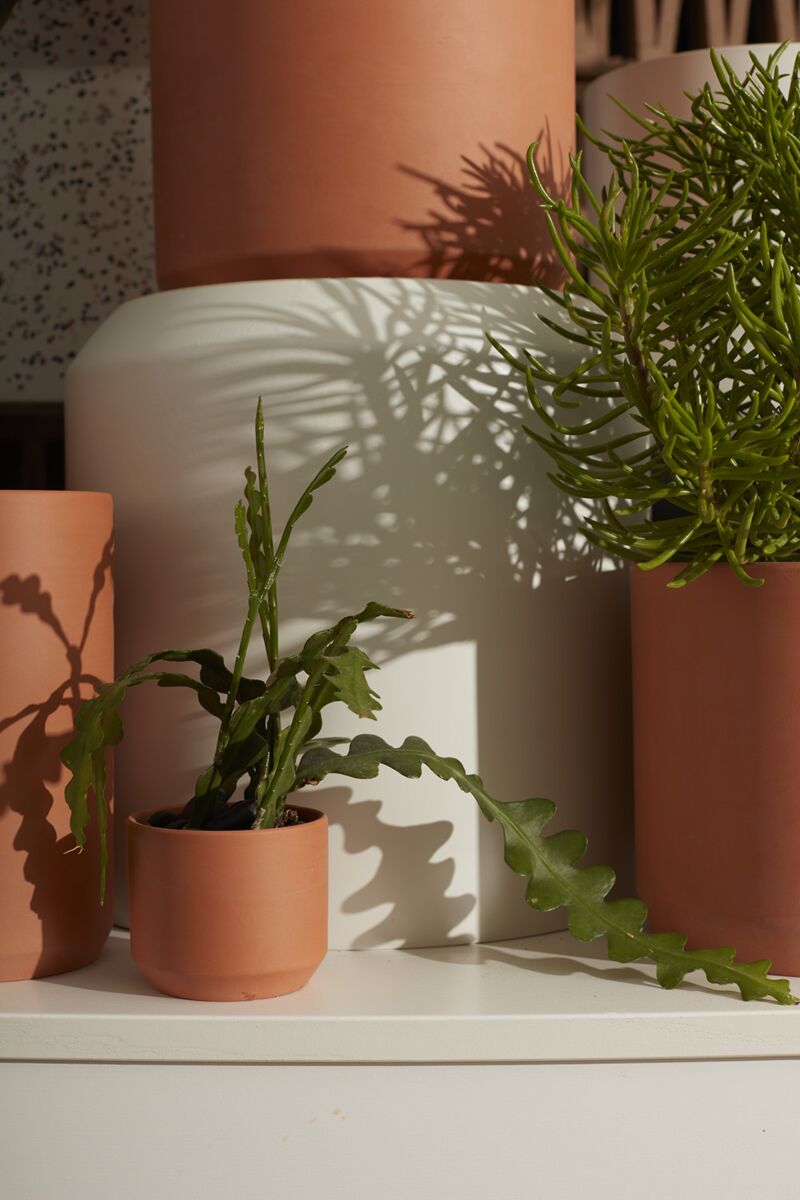3.25" Kendall Pot Terracotta