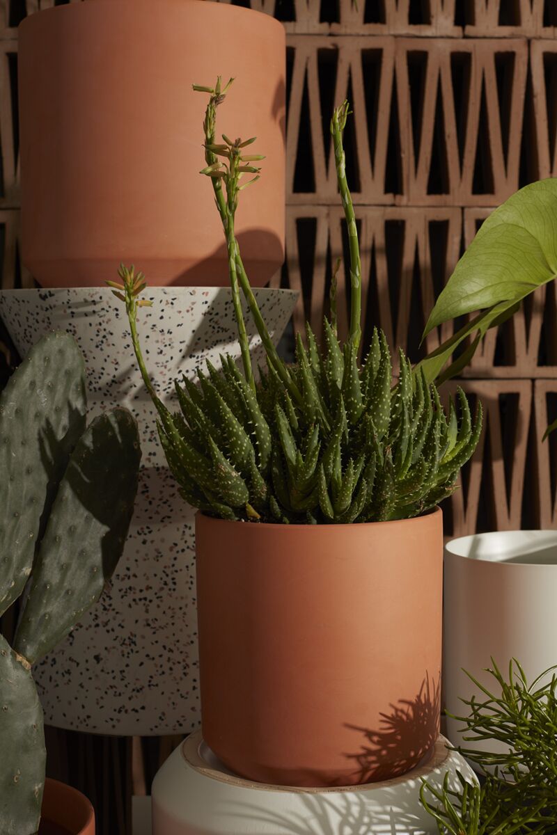 8.5" Kendall Pot Terracotta