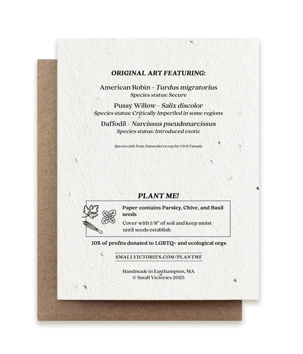 Spring Robin Plantable Herb Seed Card
