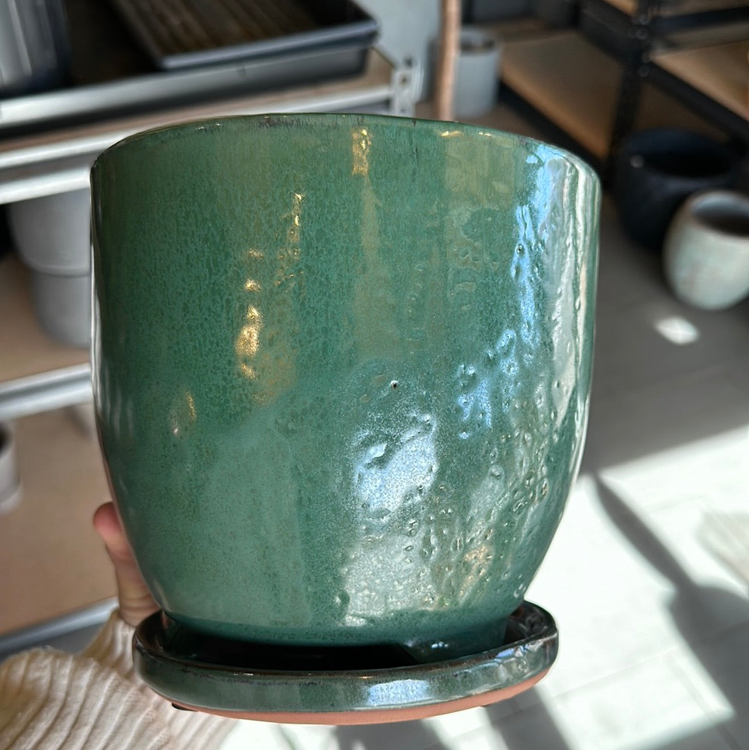 Verandah 7" Jade Maui Pot