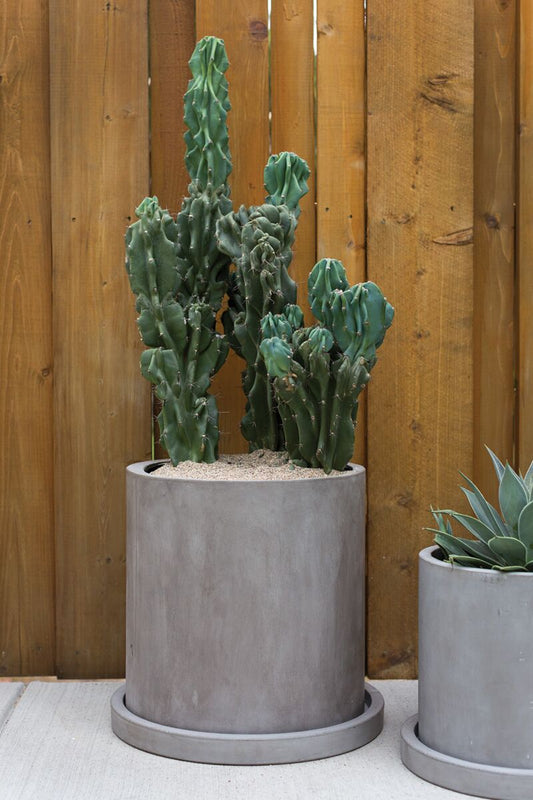 Marta Pot and Saucer 18"