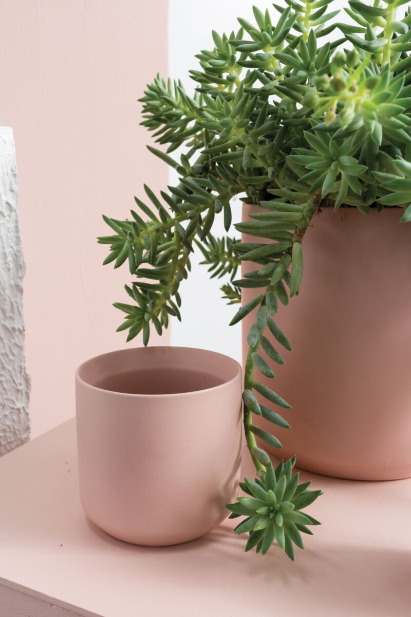 4.75" Kendall Pot Light Pink