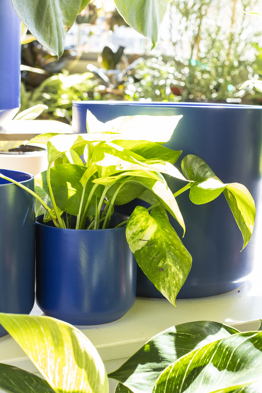 4.75" Kendall Pot Blue