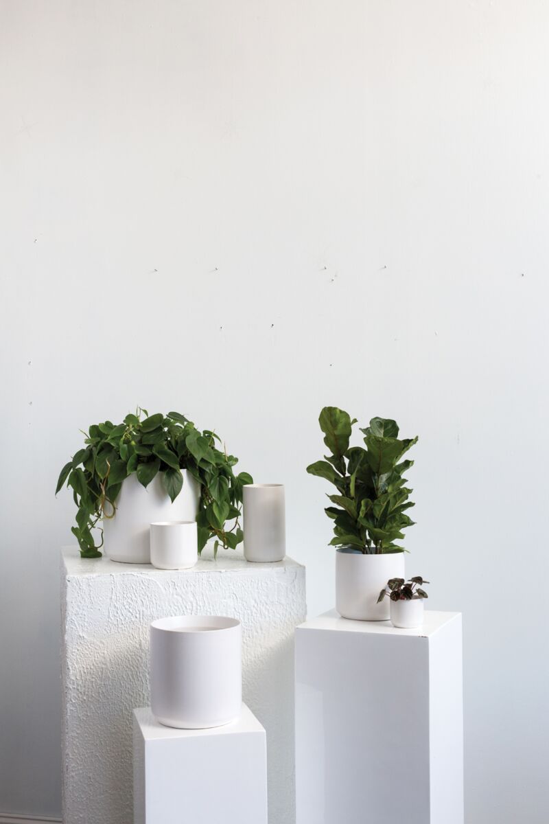 7" Kendall Pot White