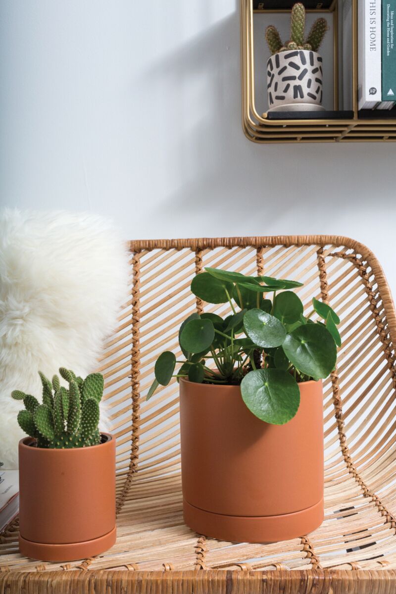 7" Romey Pot + Saucer Terracotta