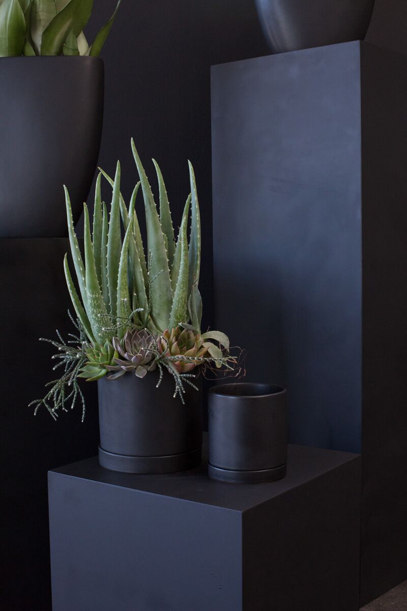 7" Romey Pot + Saucer Black