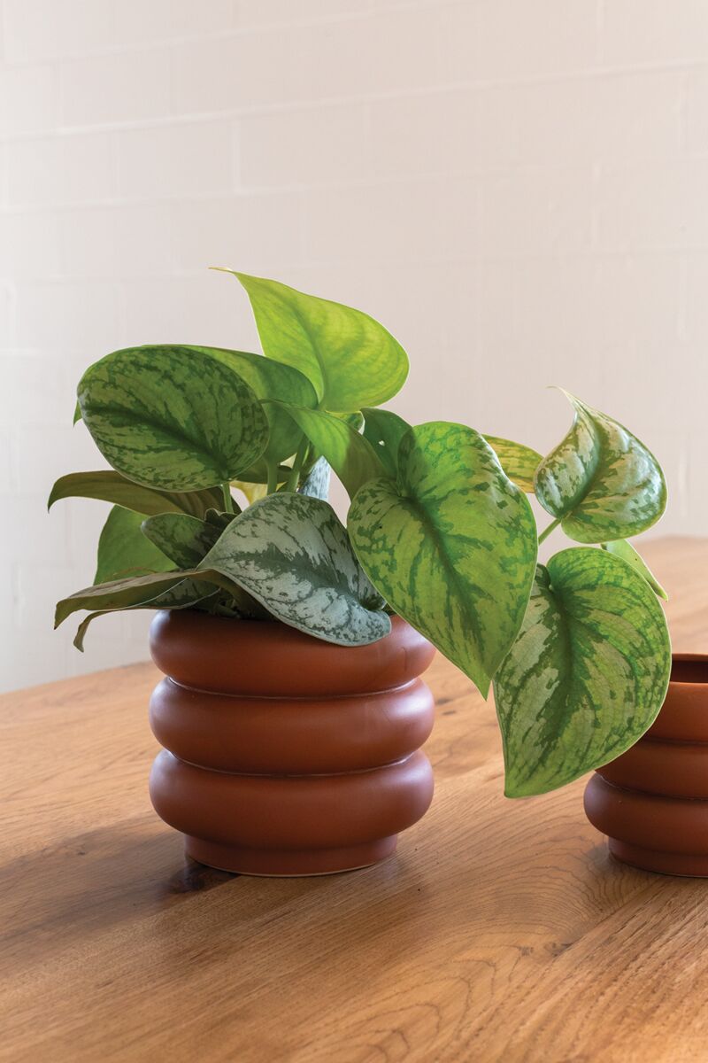 6" Motley Pot Terracotta