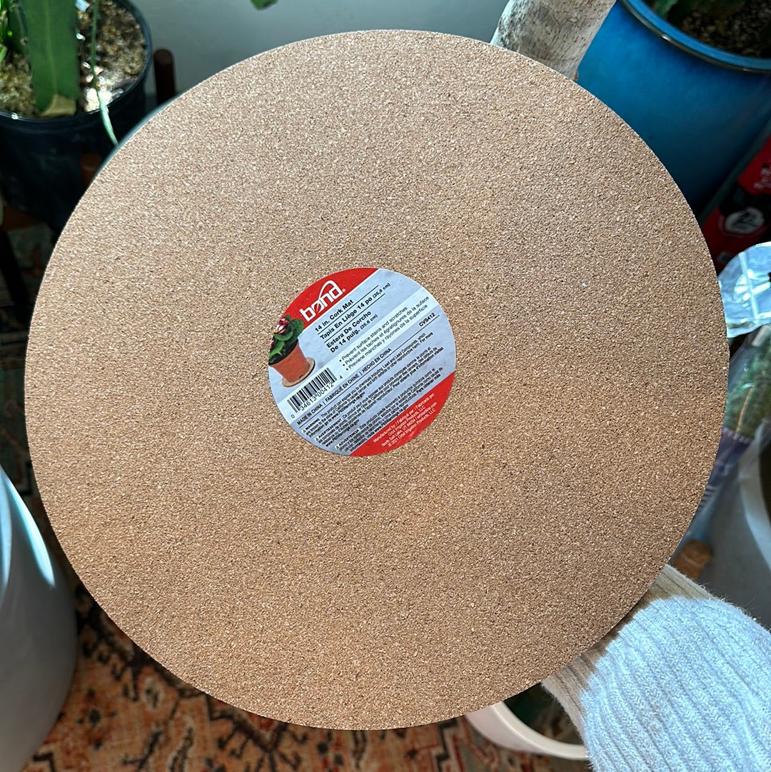 cork plant saucer Bond 14" Cork Saucer – Fern Houseplants