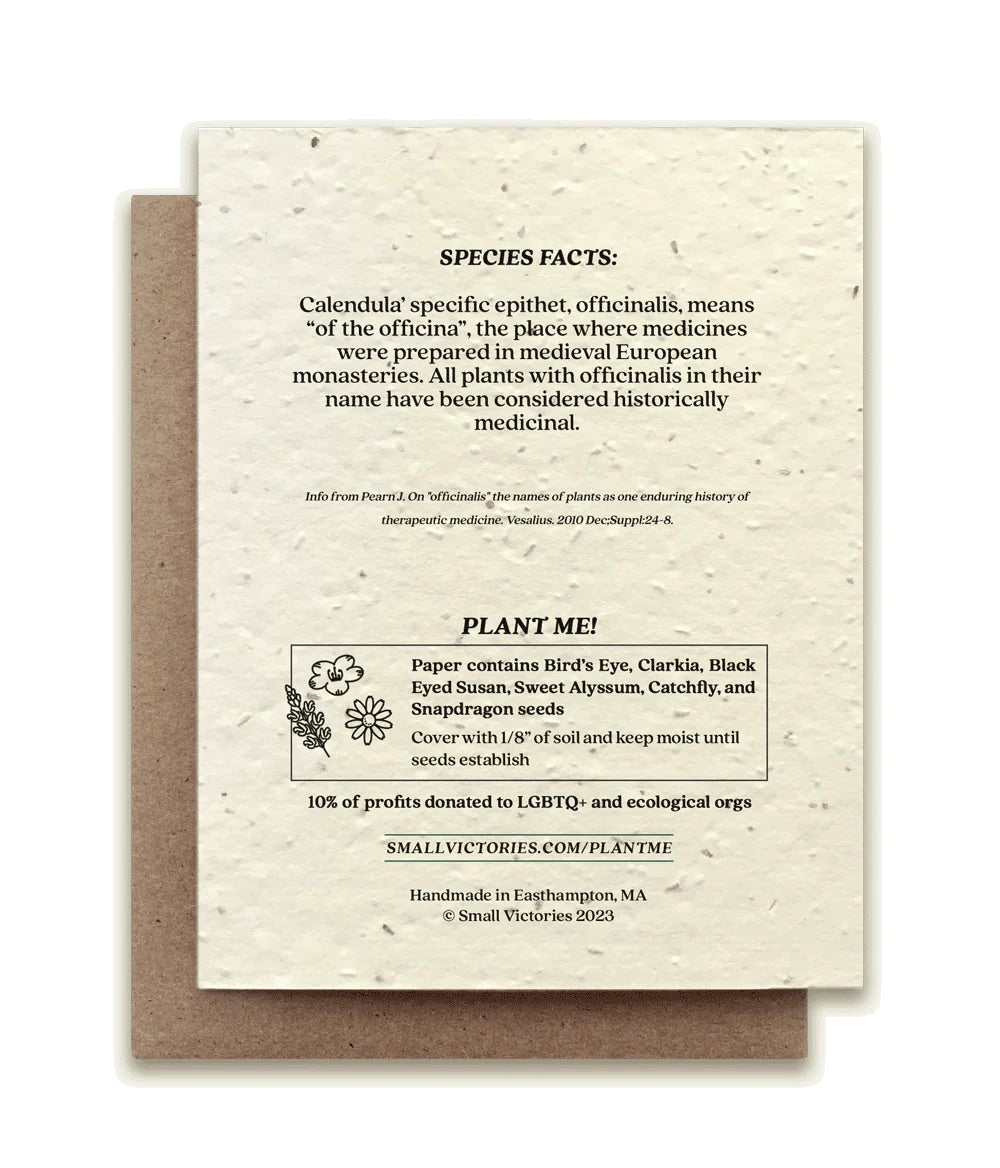 Calendula Plantable Wildflower Seed Card