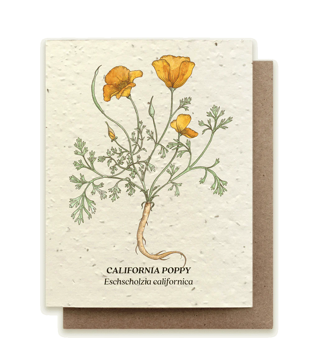 California Poppy Plantable Wildflower Seed Card