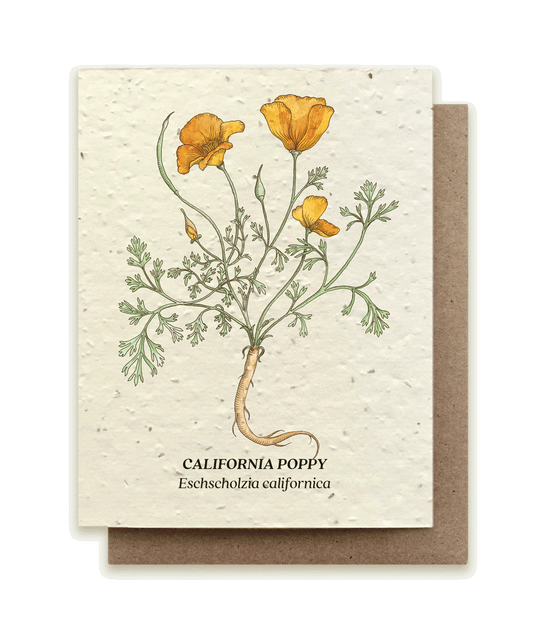 California Poppy Plantable Wildflower Seed Card