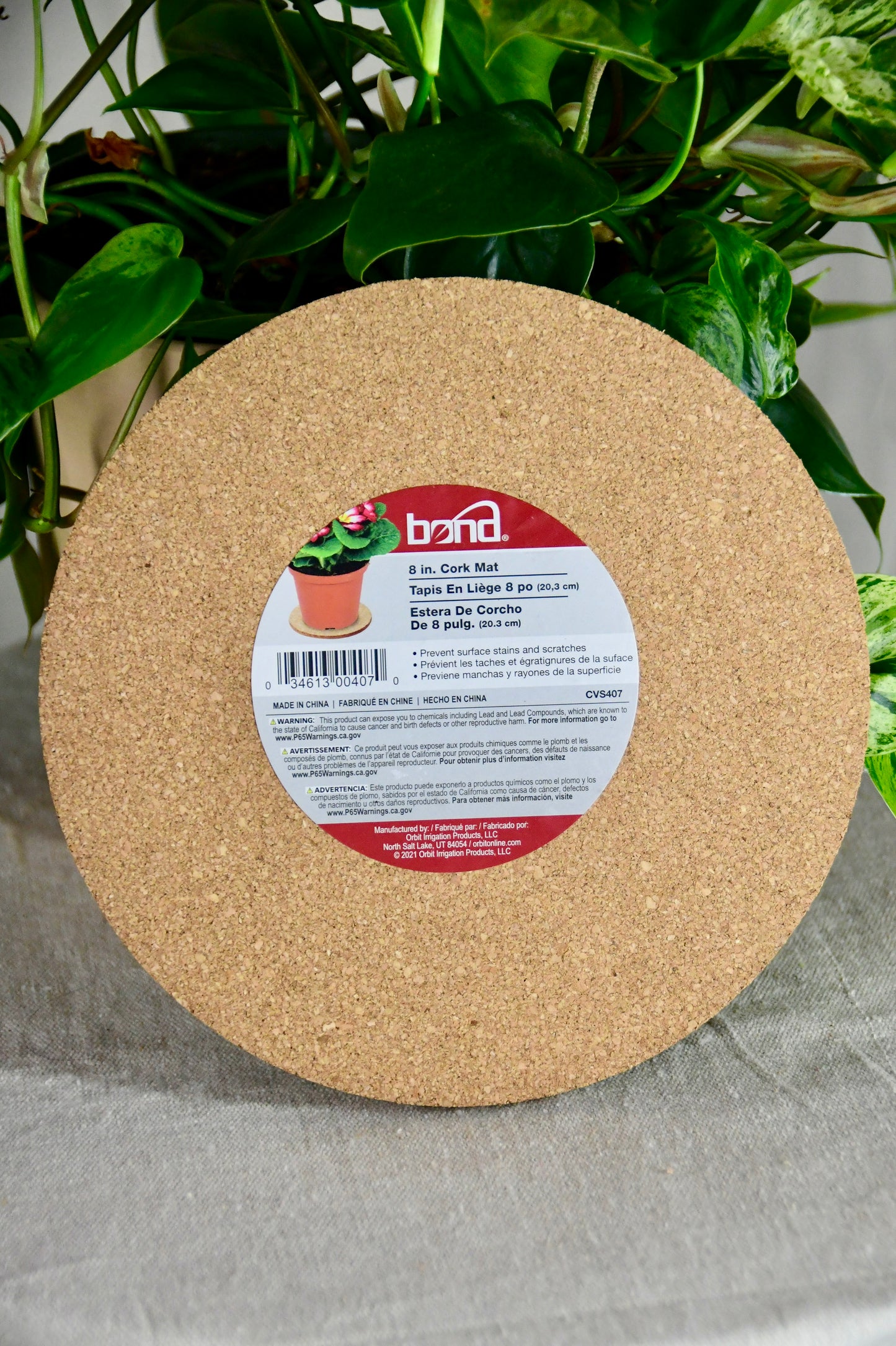Bond 8" Cork Saucer