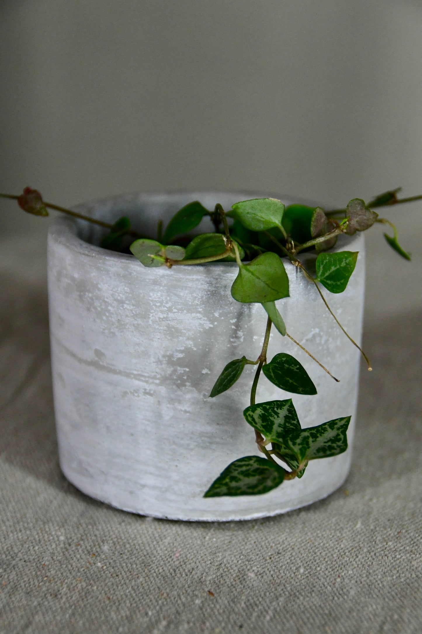 Avenue 3" Cement Cylinder
