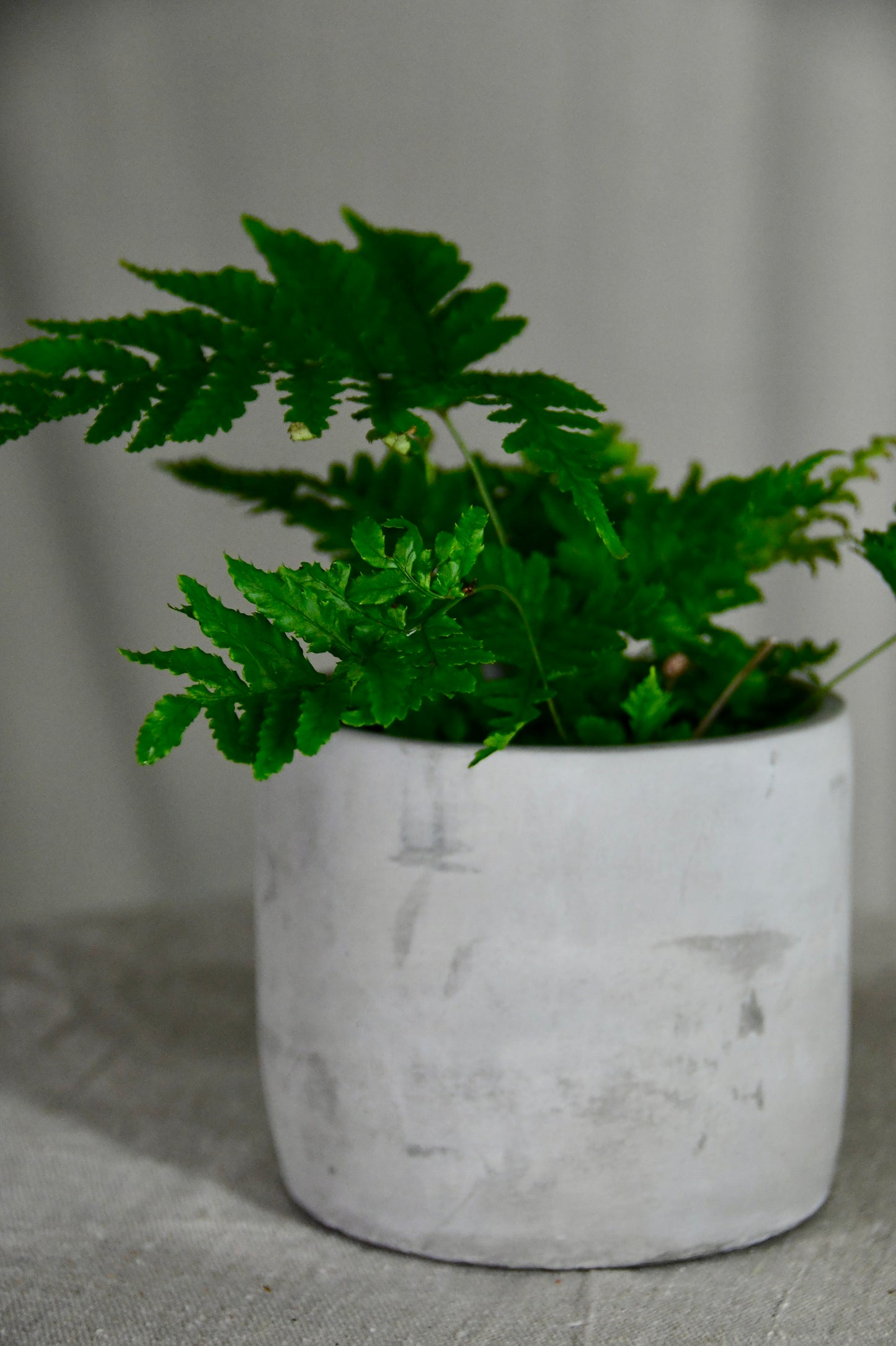 Avenue 4.5" Cement Cylinder