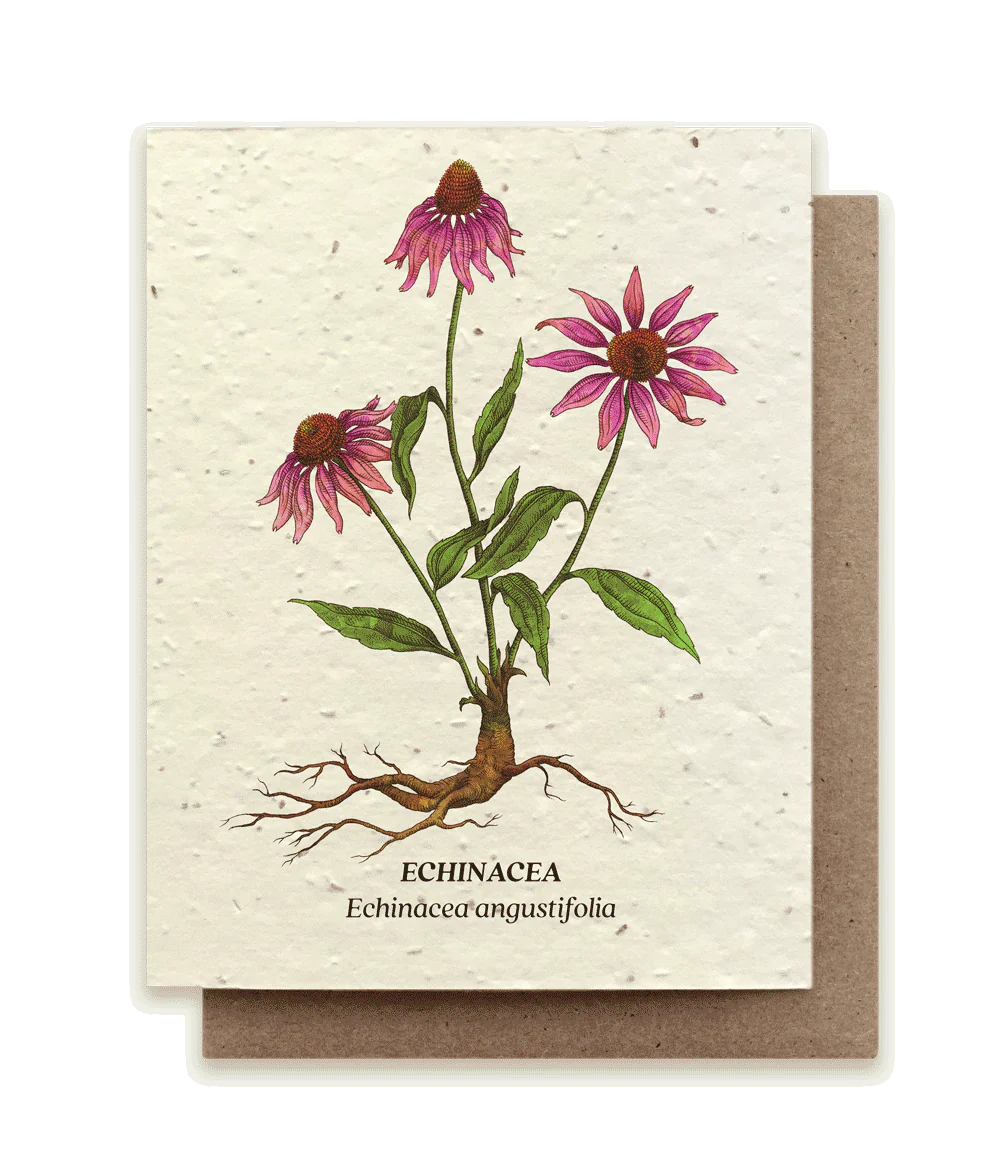 Echinacea Plantable Wildflower Seed Card