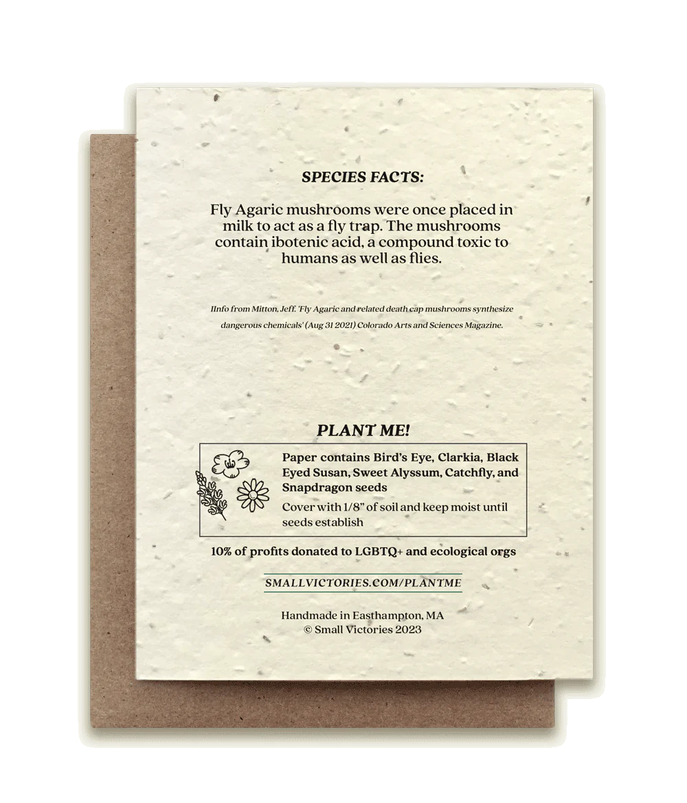 Fly Agaric Mushroom Plantable Wildflower Seed Card