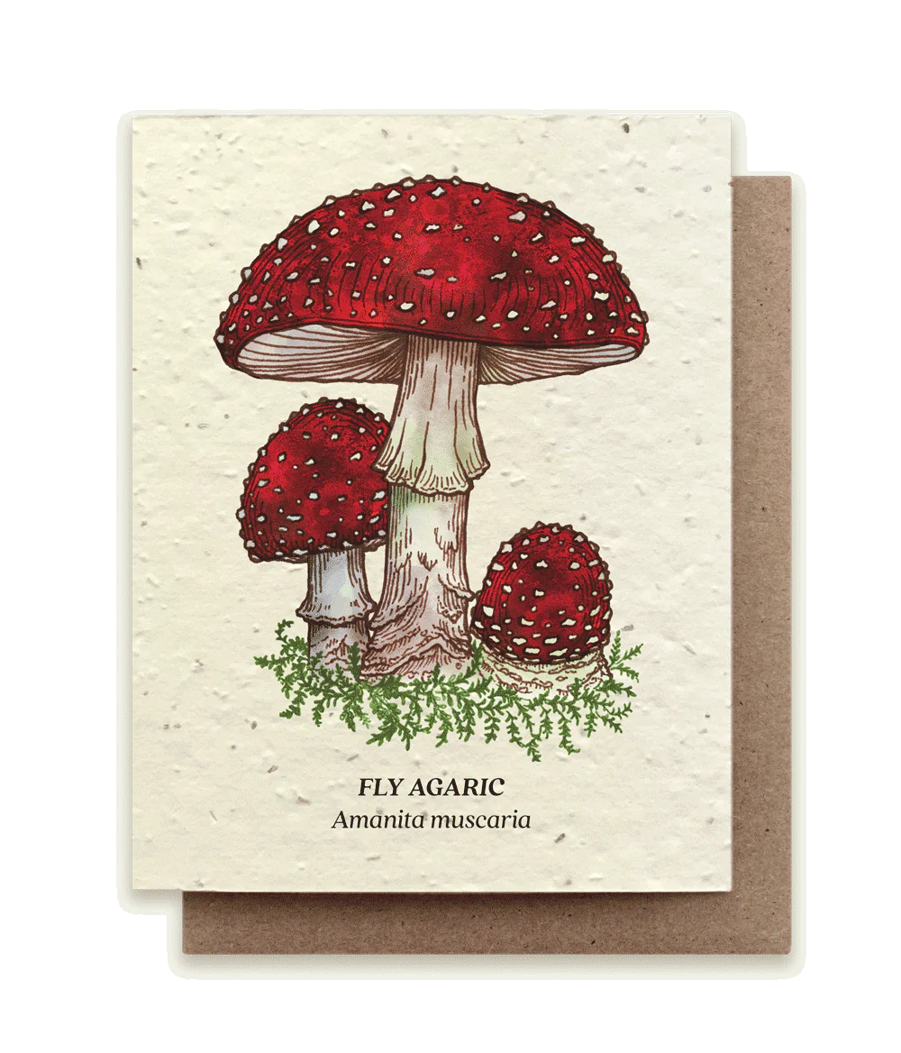 Fly Agaric Mushroom Plantable Wildflower Seed Card