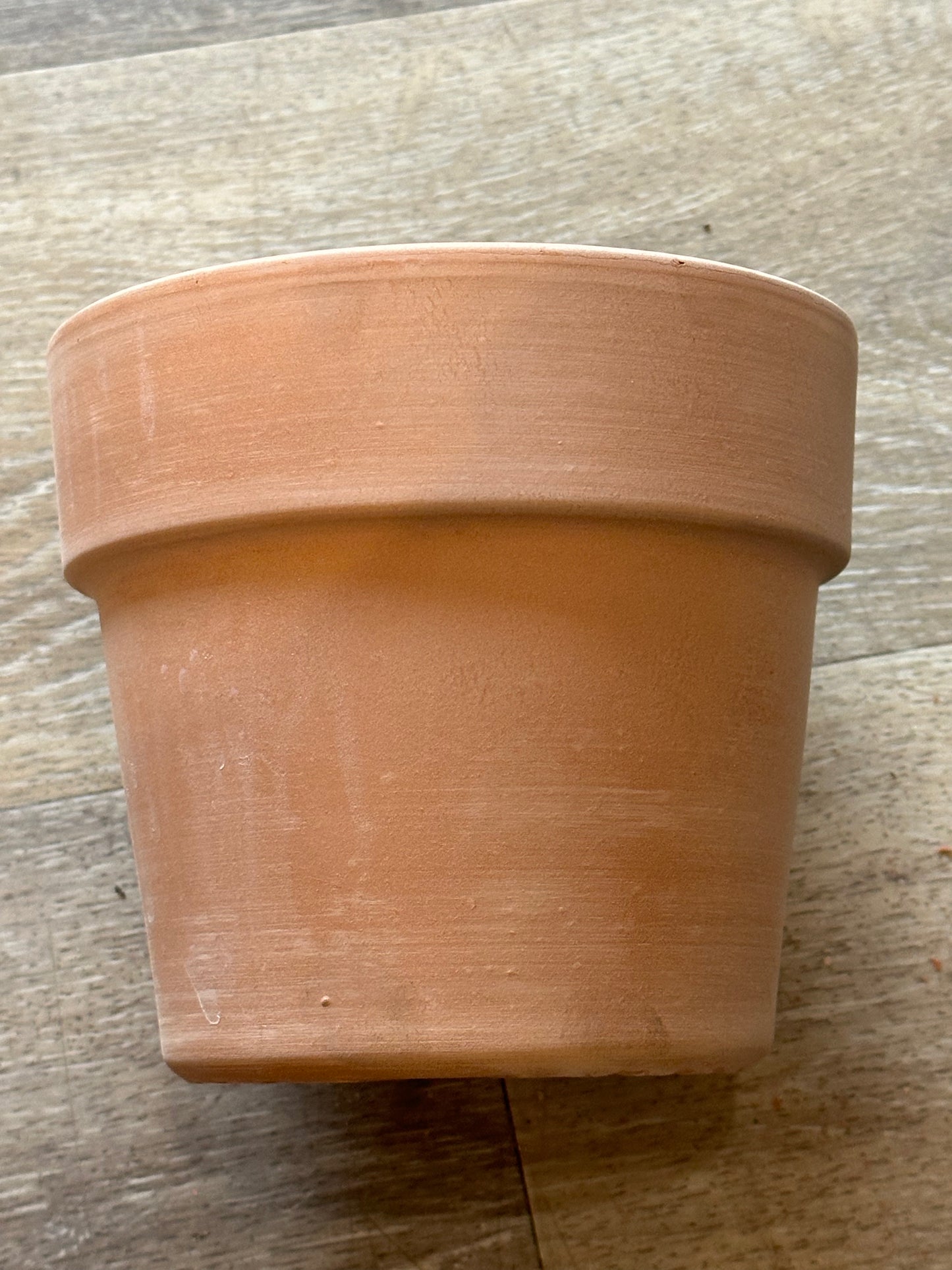 Deroma 5.1" perfetto pot no hole blush clay