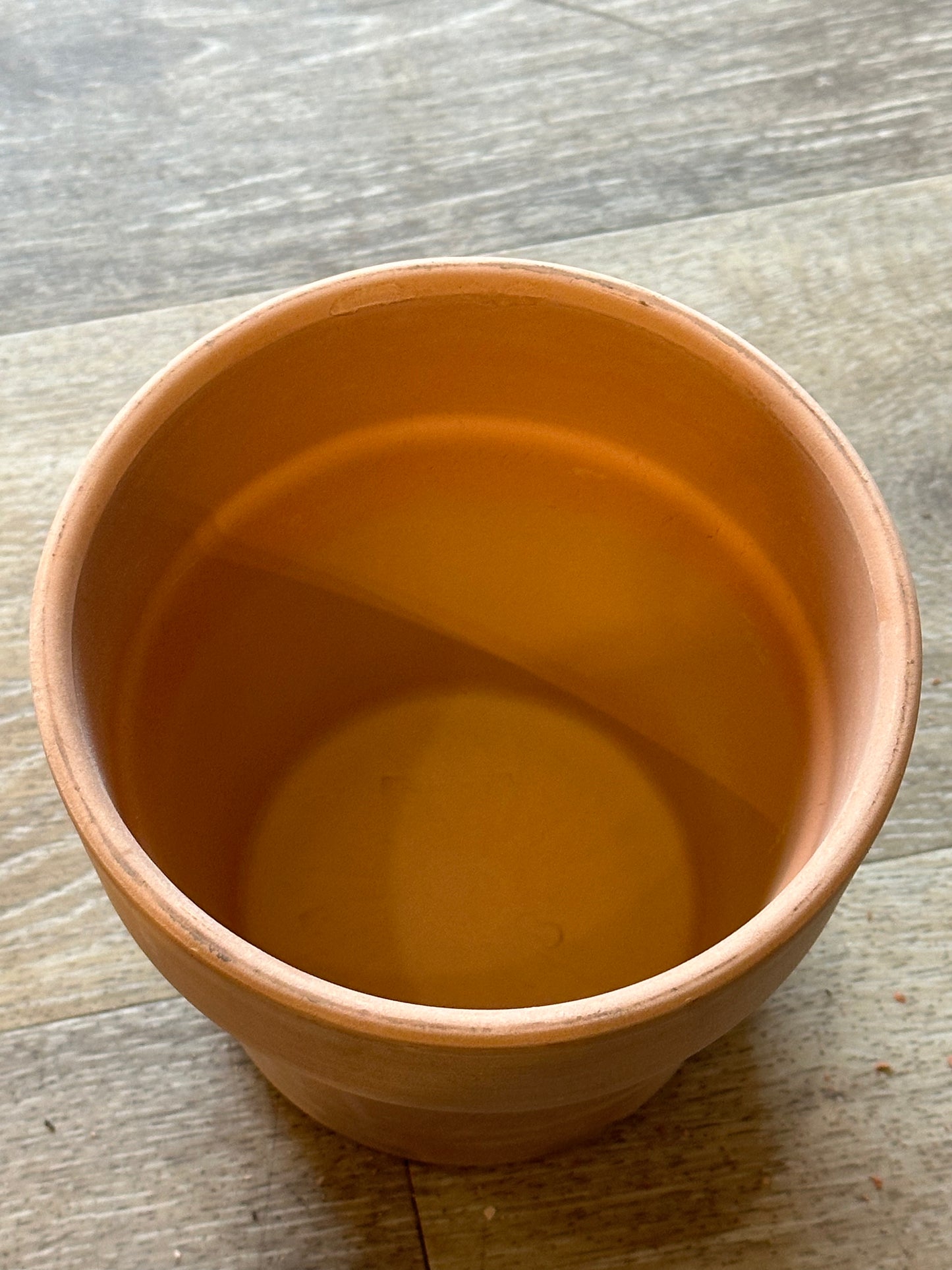Deroma 5.1" perfetto pot no hole blush clay