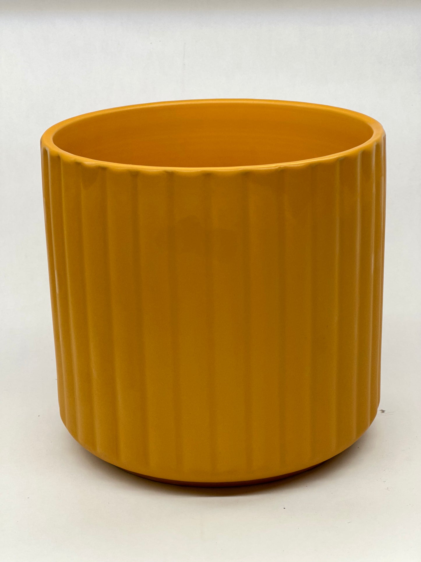 Palm Spring 6.5" Brush Comb Mst