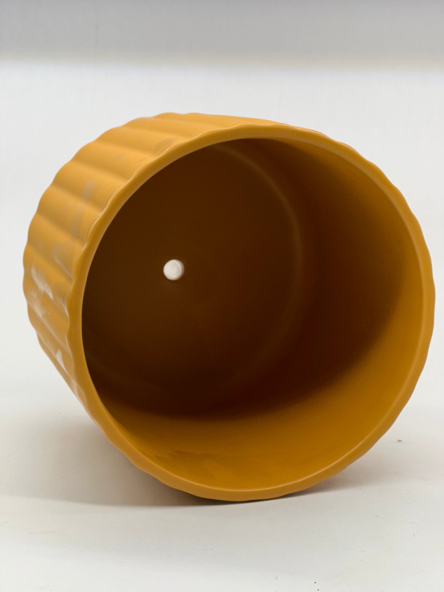 Palm Spring 6.5" Brush Comb Mst