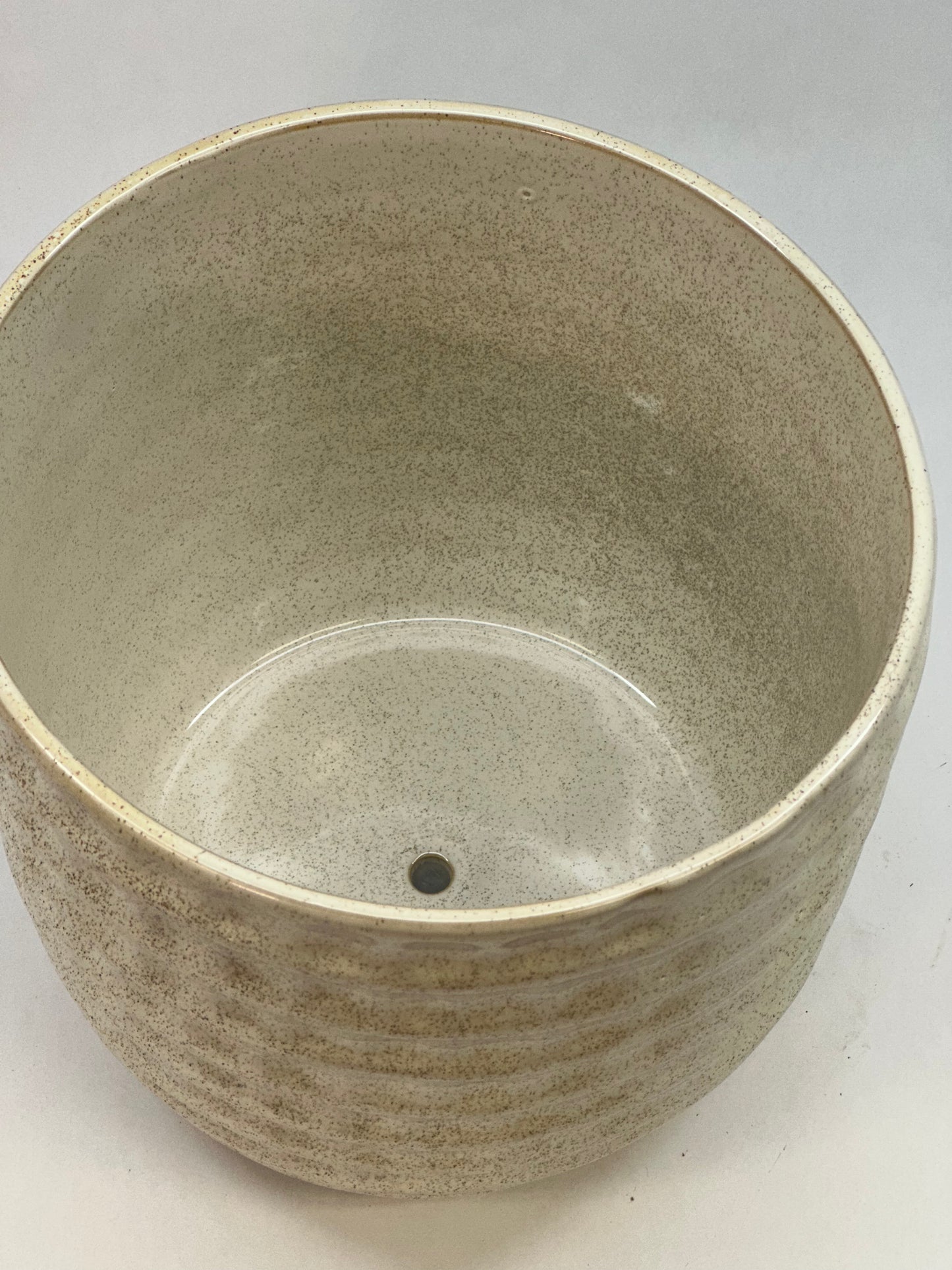 Palm Spring 9" Honeycomb Seashell Pot