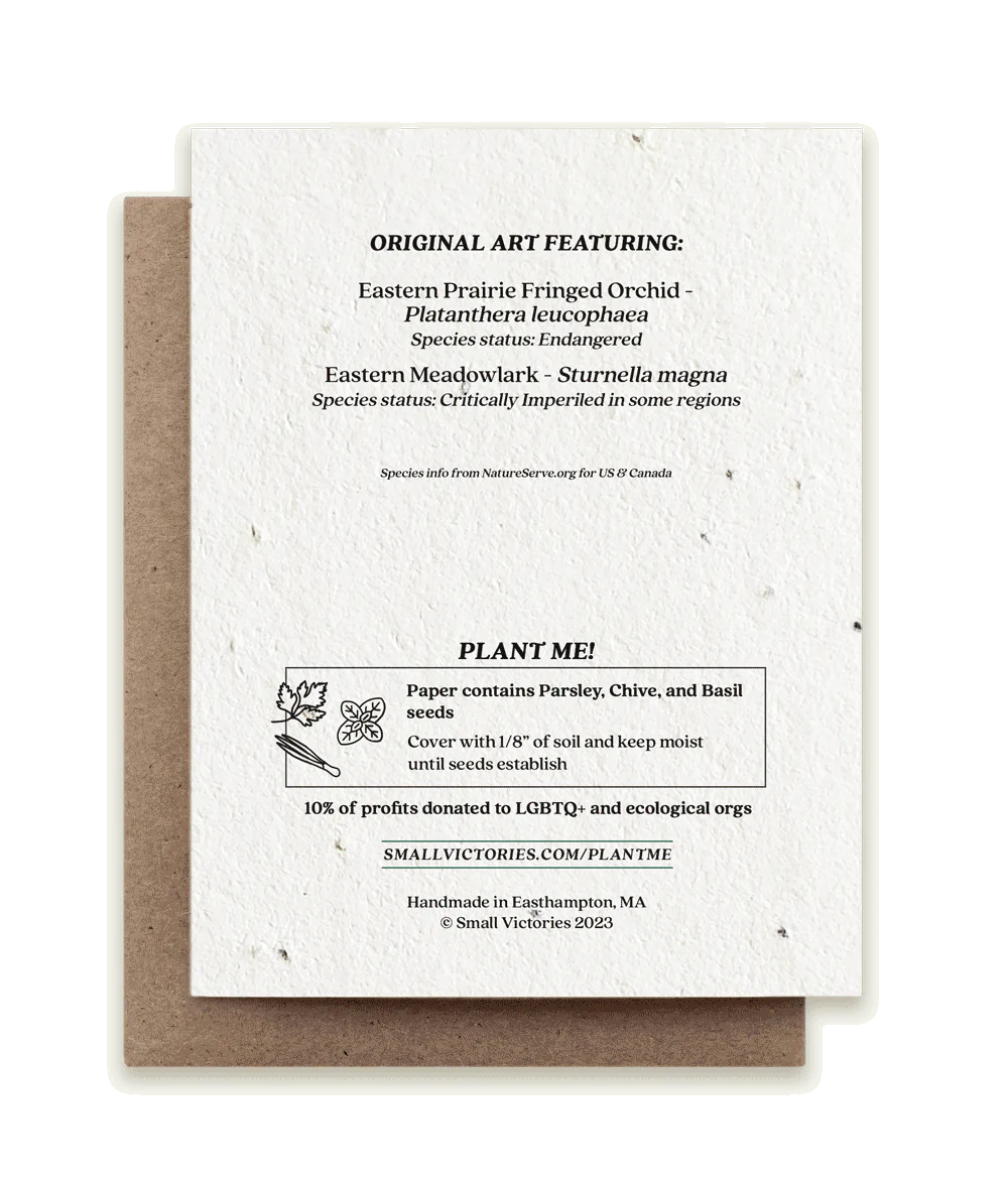 Meadowlark & Prairie Orchid Plantable Herb Card