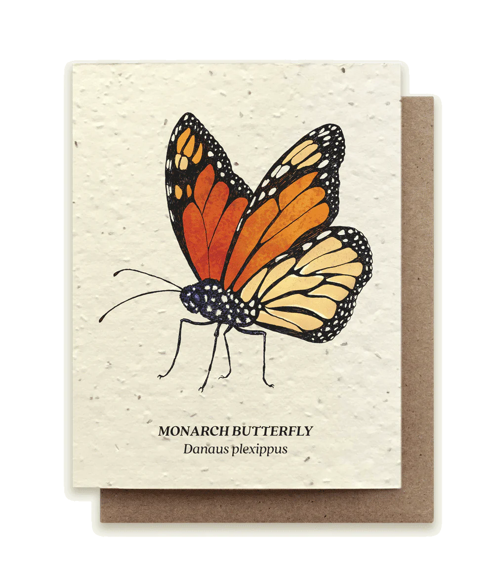 Monarch Butterfly Plantable Wildflower Seed Card