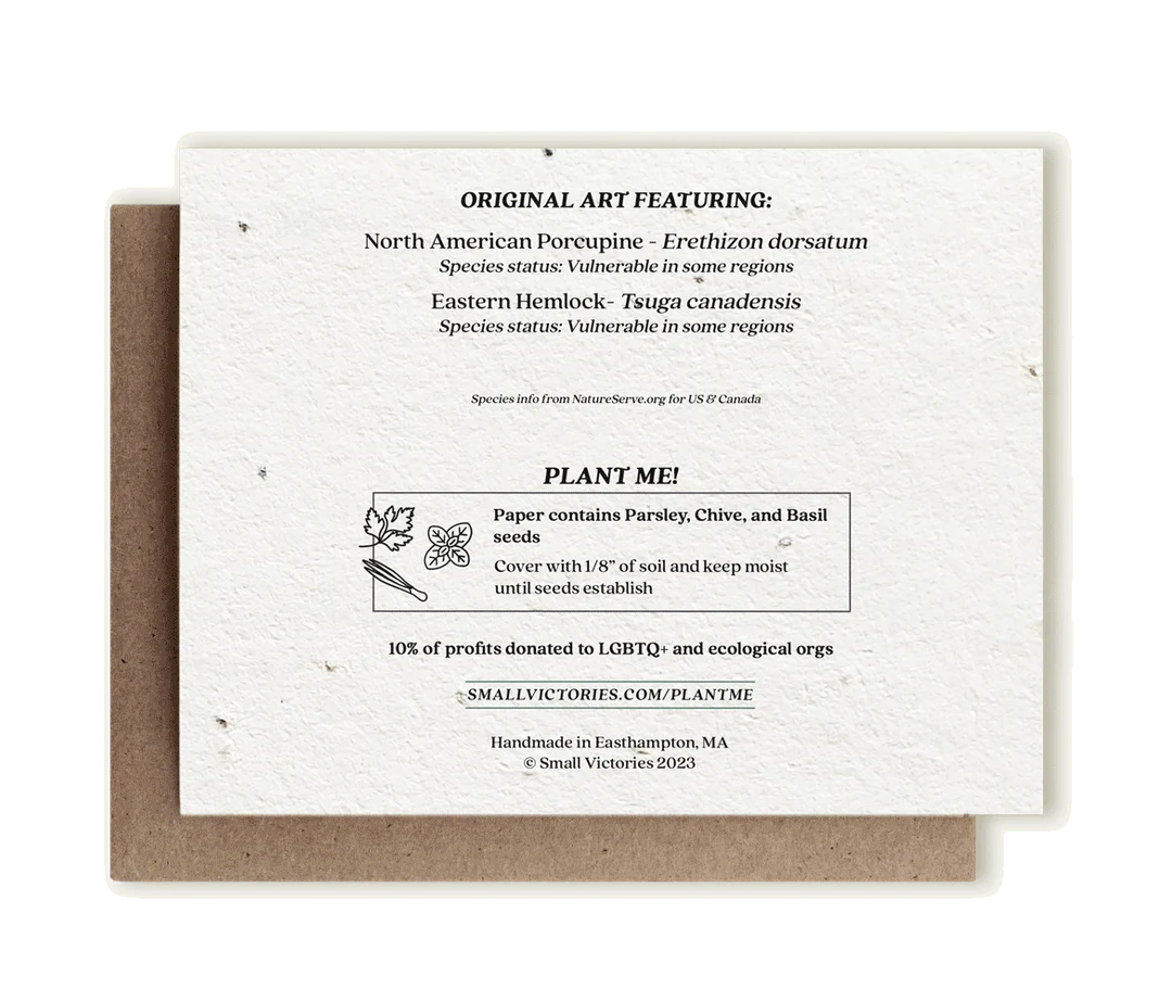 Porcupine & Hemlock Plantable Herb Seed Card