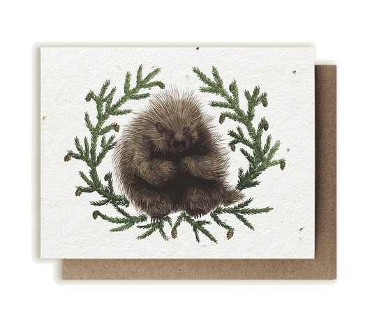 Porcupine & Hemlock Plantable Herb Seed Card