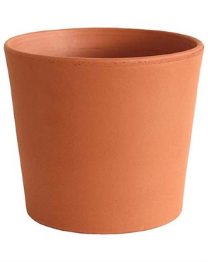 So Patio 5" Flair Terracotta Clay Pot