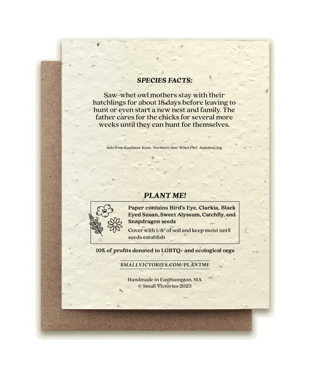 Northern Saw-Whet Owl Plantable Wildflower Seed Card