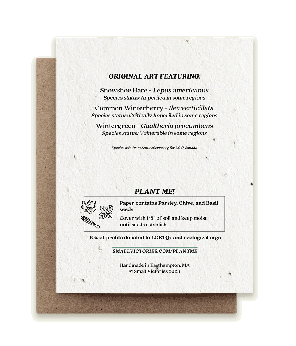 Season's Greetings Snowshoe Hare Plantable Herb Seed Card