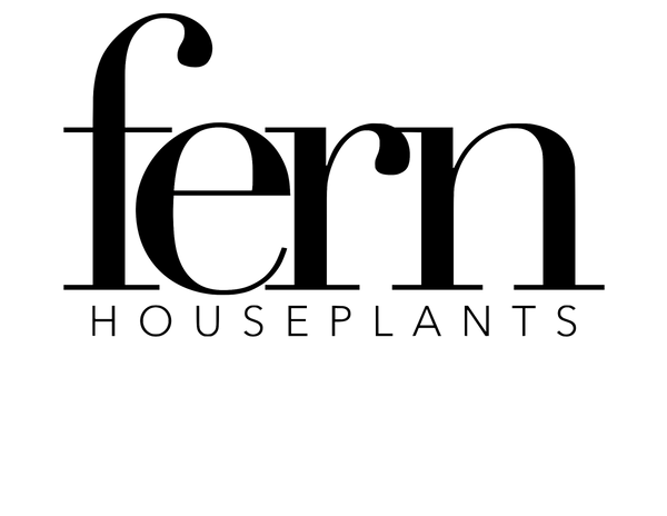 Fern Houseplants logo