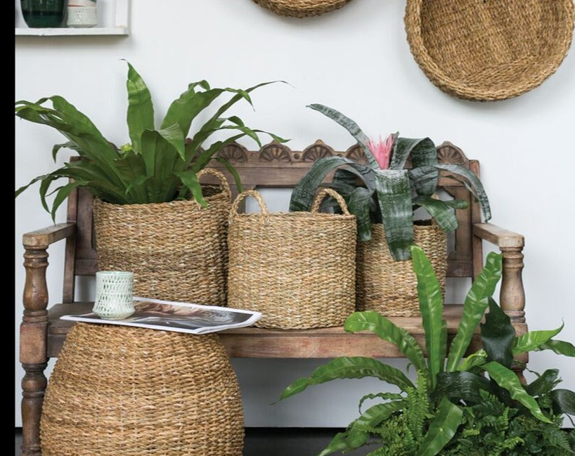 Hacienda Basket