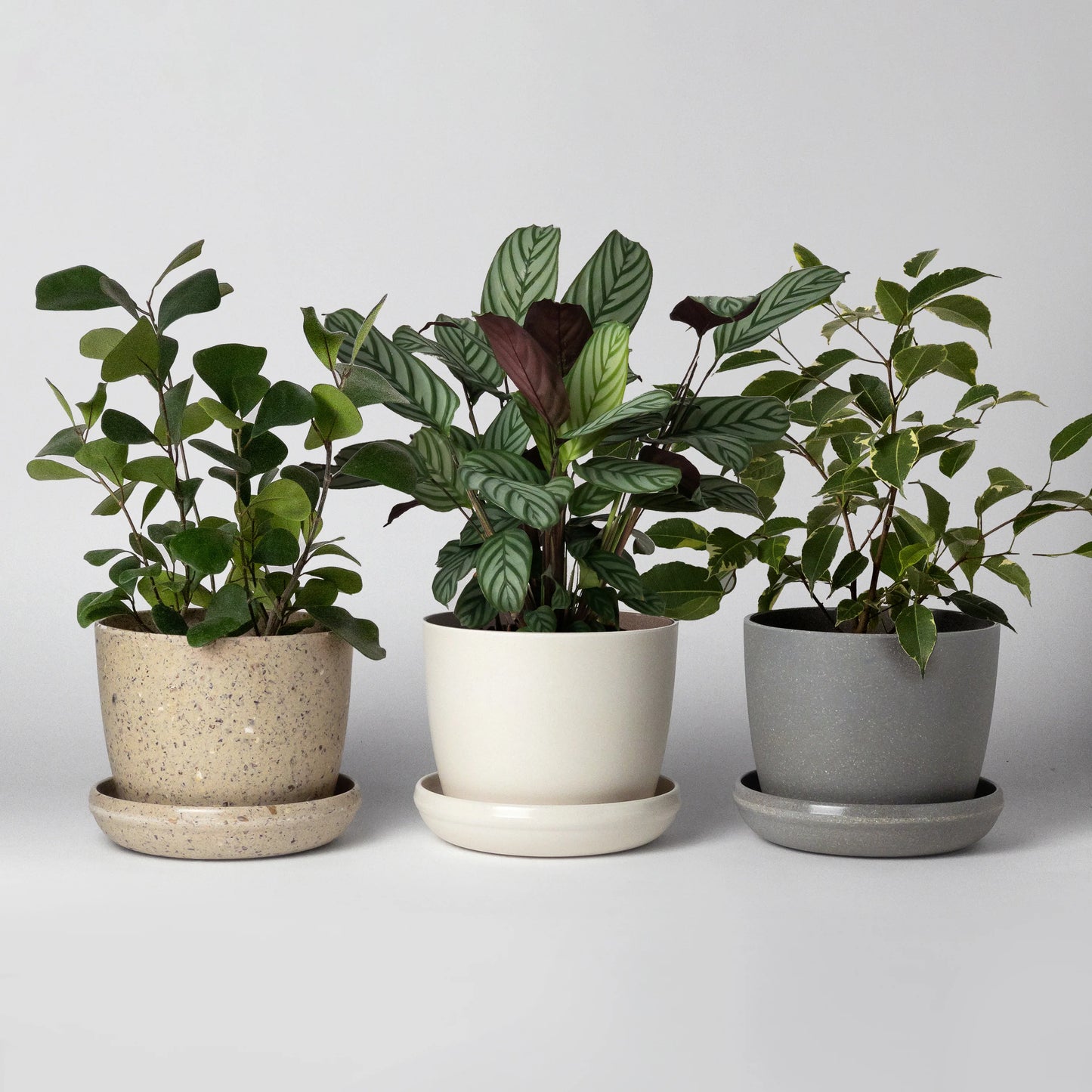5" Bamboo Fiber Planter