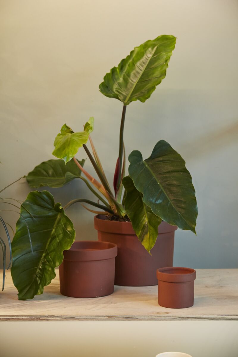 11.25" Klamath Pot
