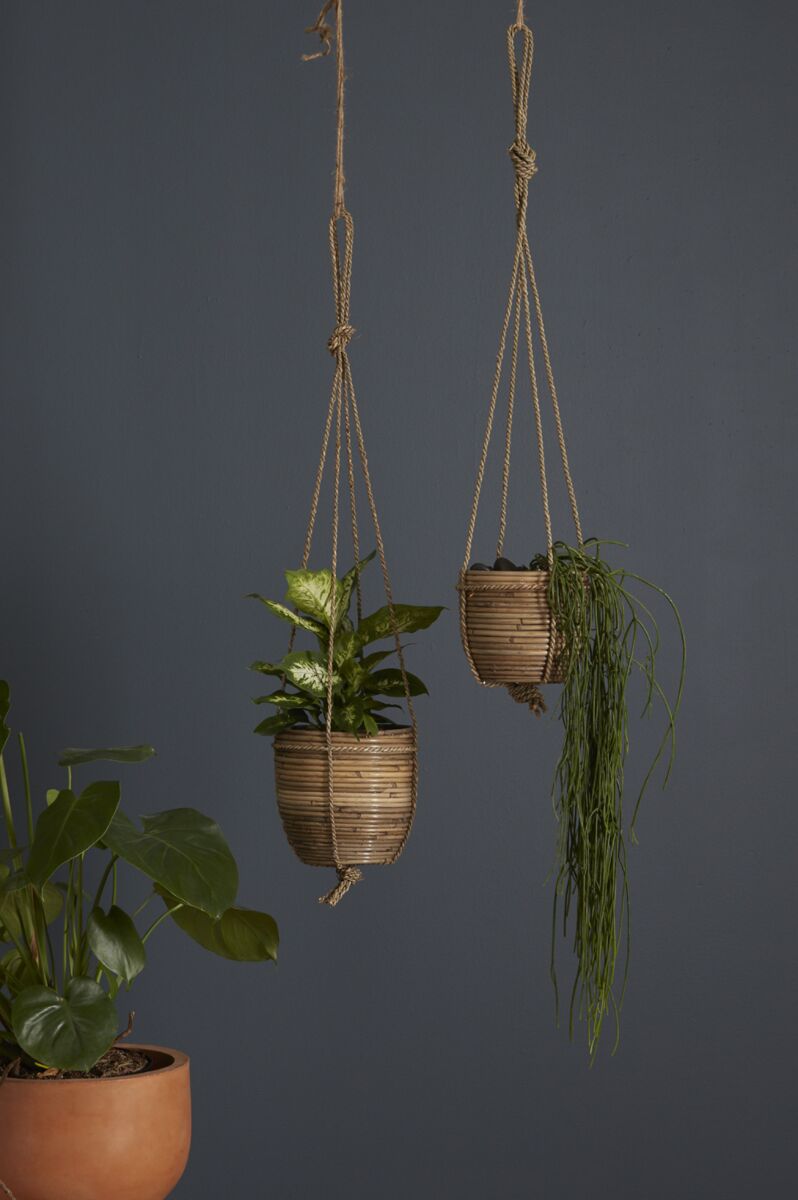 7" Lomita Hanging Planter