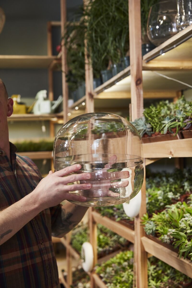 11" Observatory Terrarium