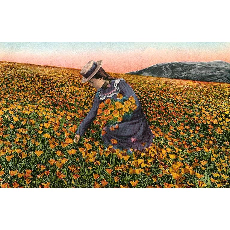 Found Image Print - Picking California Poppies