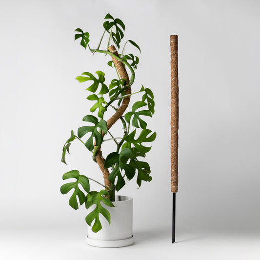 32" Bendable Coco Pole with Metal Stake