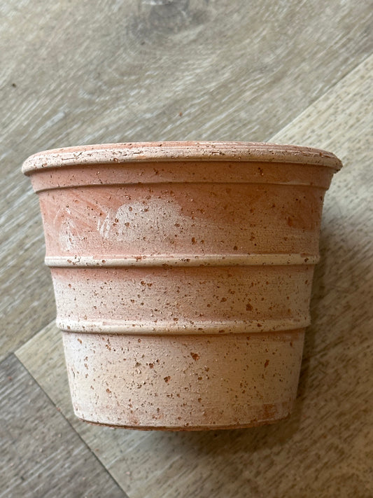 Deroma 4.3" Siena Mini Pot Galestro