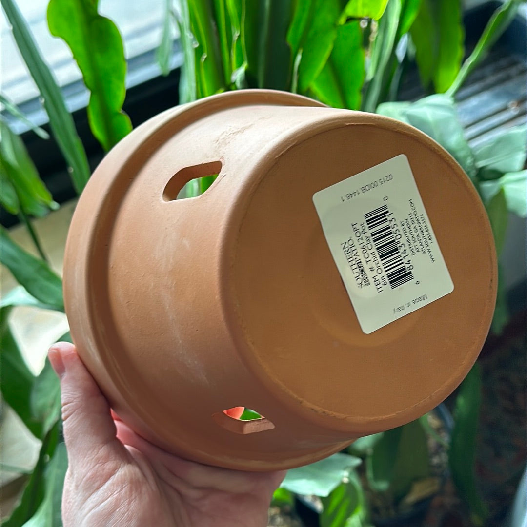 So Patio 6" Orchid Clay Pot