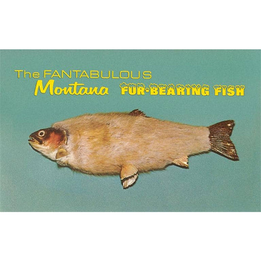 Found Image Print - Fantabulous Montana Fur-Bearing Fish