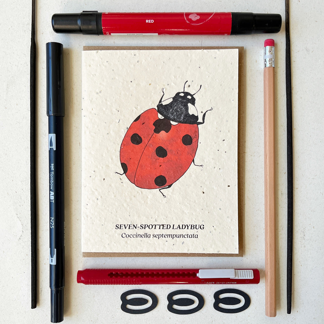 Seven-Spotted Ladybug Plantable Herb Seed Card