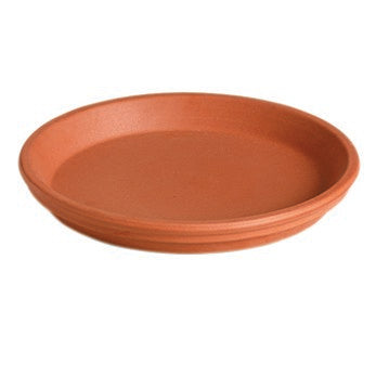 Deroma 11.4" Terracotta Clay Saucer