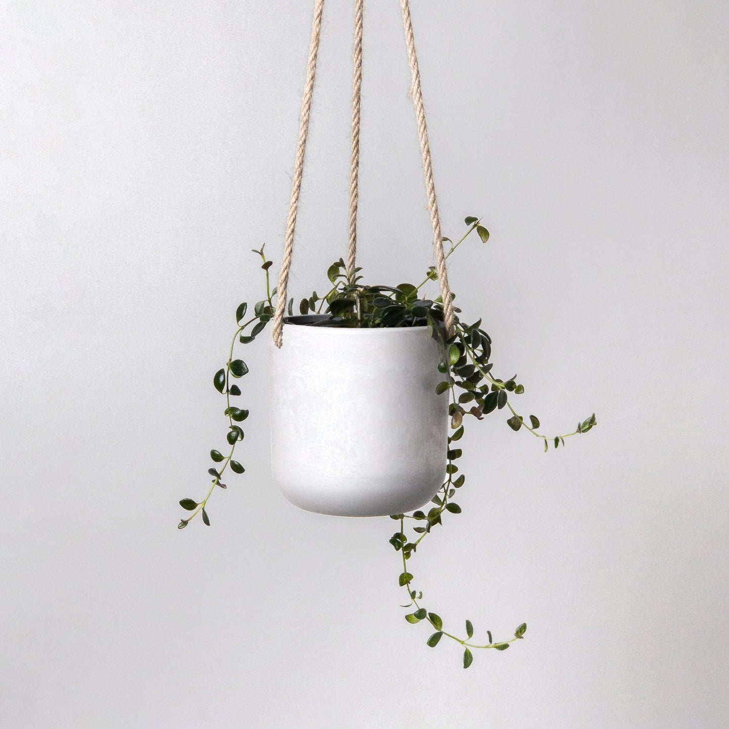 4" Signature Stone Hanging Planter